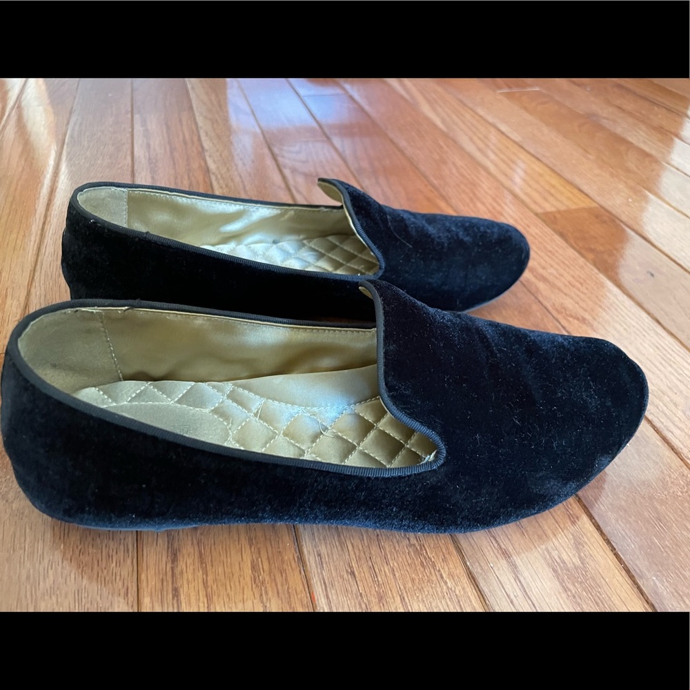 Birdies The Starling